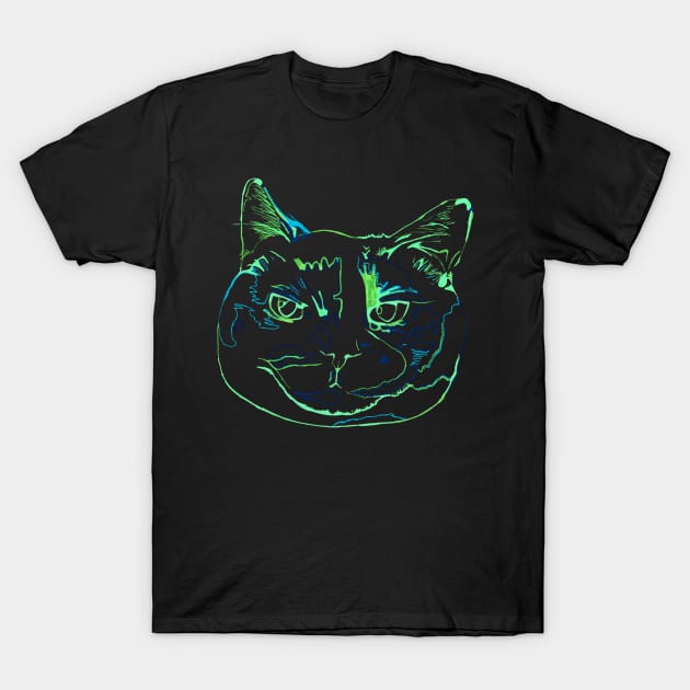 Torti Cat T-Shirt by RaLiz